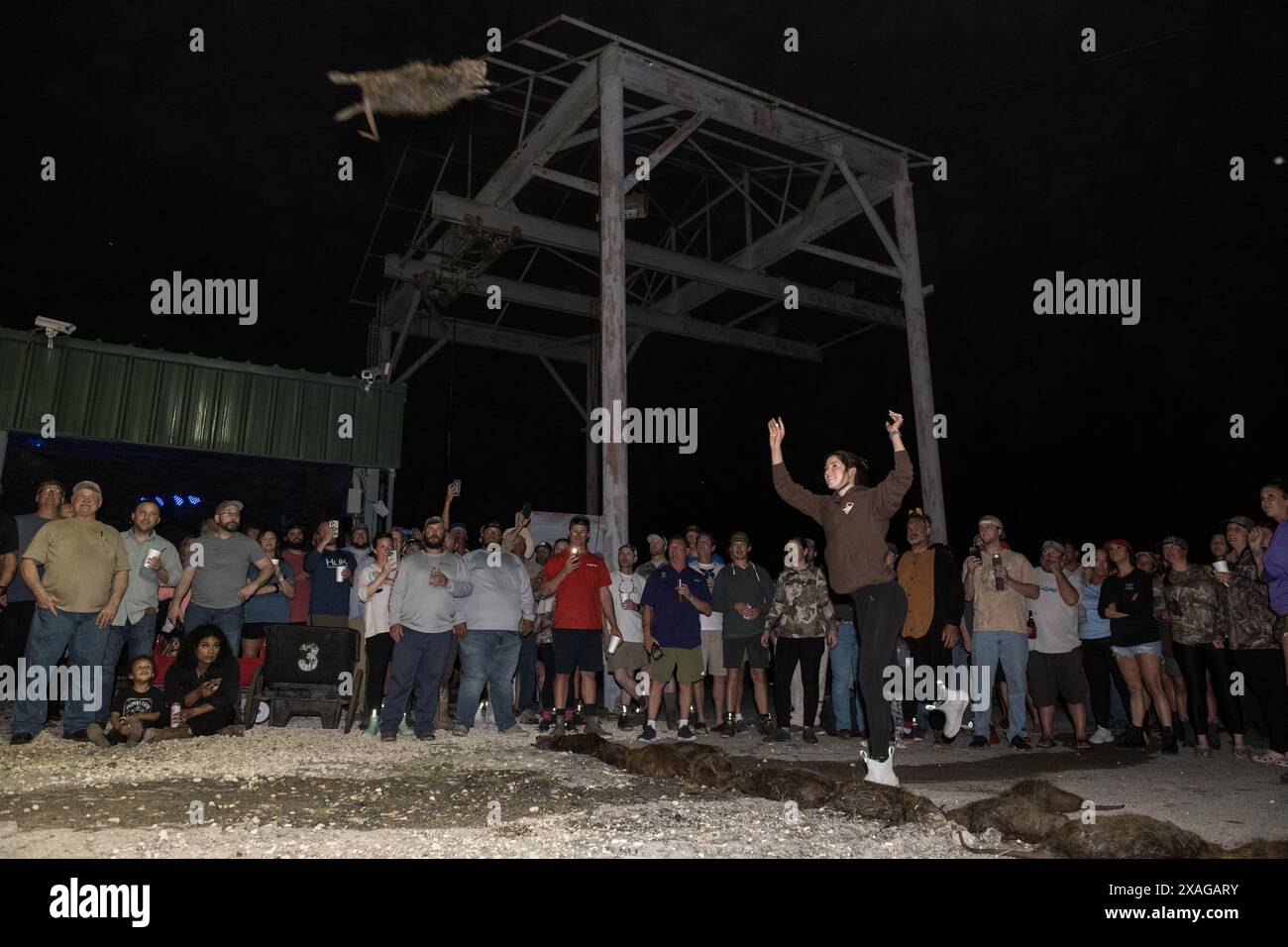 Der Teilnehmer schleudert beim jährlichen Nutria Rodeo in Louisiana einen toten Nutria Werf beim Wettbewerb „Nutria Werft“, bei dem die Jagd auf das invasive Nagetier gefördert wird. Stockfoto