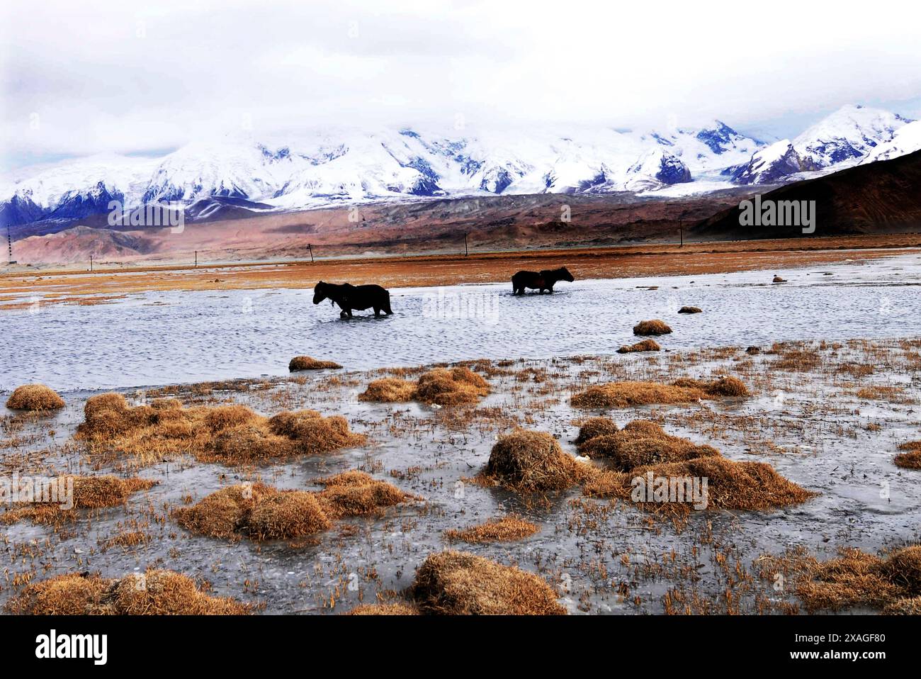 Karakul See in den Pamir Bergen, Xinjiang, China. Stockfoto