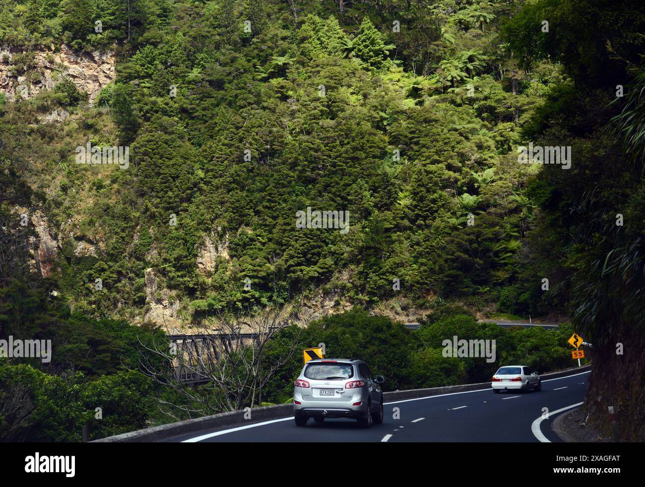 Wunderschöne Landschaften in den zentralen Regionen der nördlichen Insel Neuseelands. Stockfoto