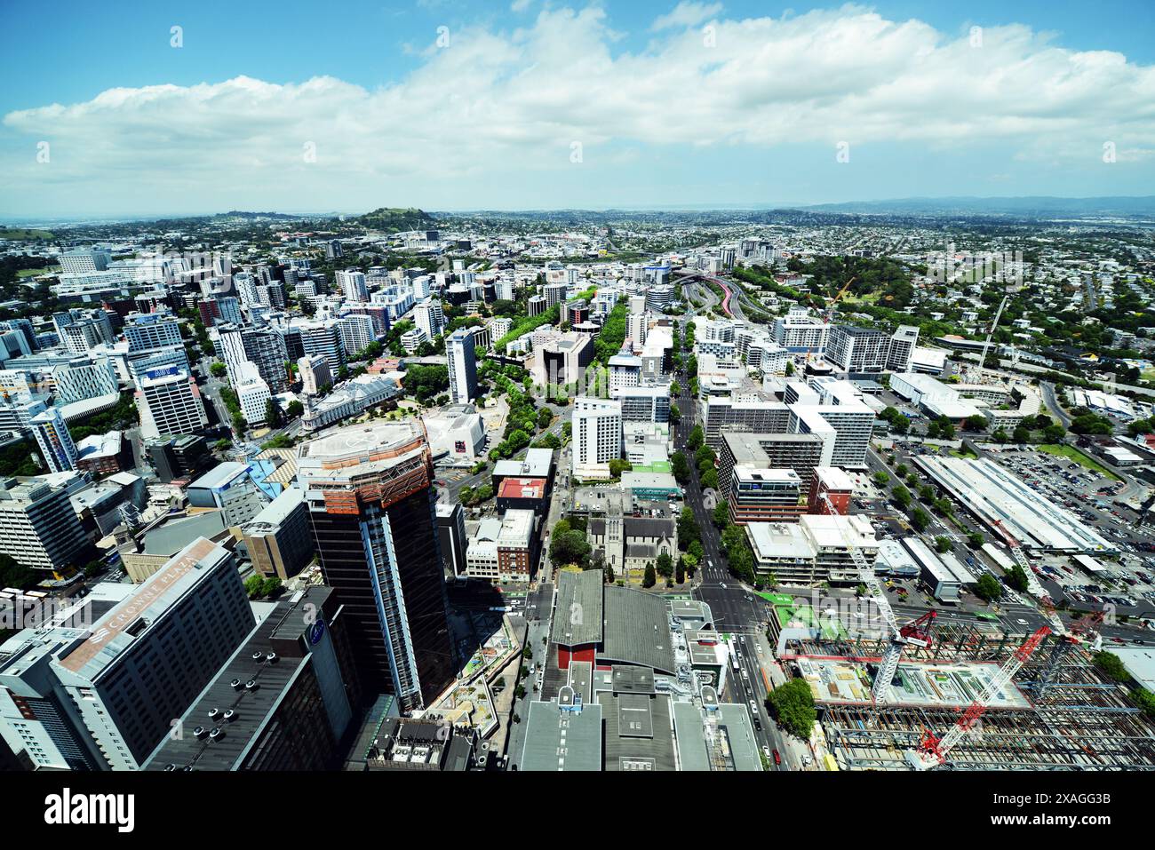Blick auf das Stadtzentrum von Auckland, Neuseeland. Stockfoto