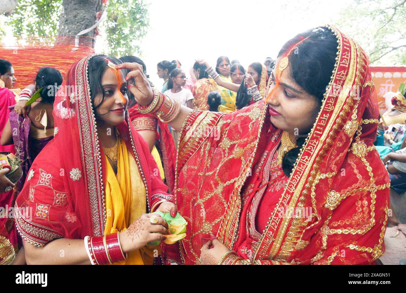 PATNA, INDIEN - 6. JUNI: Verheiratete Frauen, die sich anlässlich der VWSt Savitri Puja in Danapur am 6. Juni 2024 in Patna, Indien, gegenseitig mit Zargenblüten bewirben. (Foto: Santosh Kumar/Hindustan Times/SIPA USA) Stockfoto