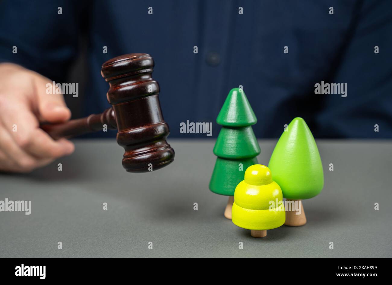 Richter mit Hammer und Wald. Gesetzlicher Schutz von Wäldern und Naturschutzgebieten. Quoten und Regeln für die Verwendung. Verkauf natürlicher Ressourcen durch Auktio Stockfoto