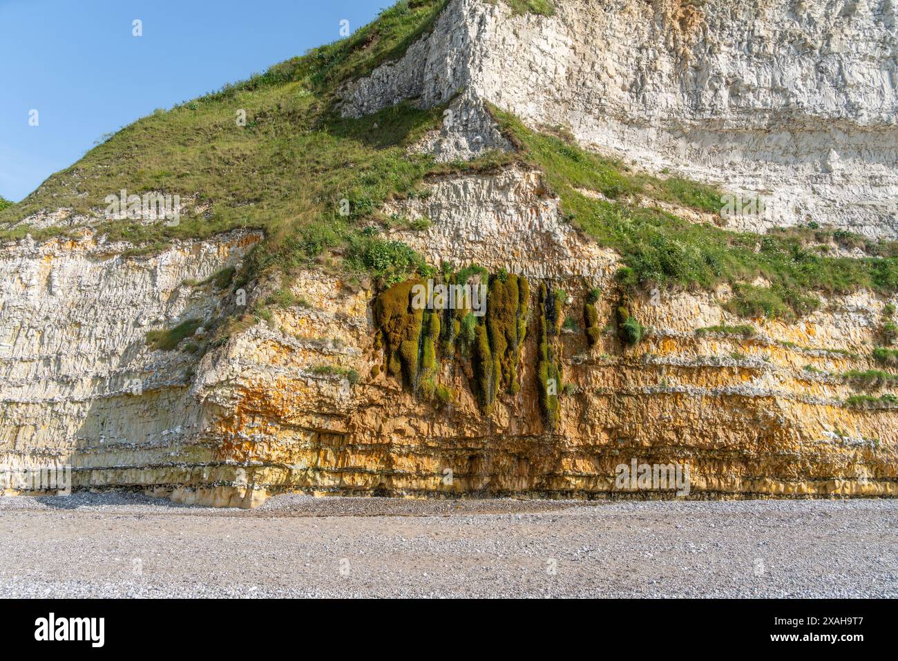 Kreidefelsen in der Nähe von Saint Leonard, einer Gemeinde im Departement seine-Maritime in der Normandie in Nordfrankreich Stockfoto