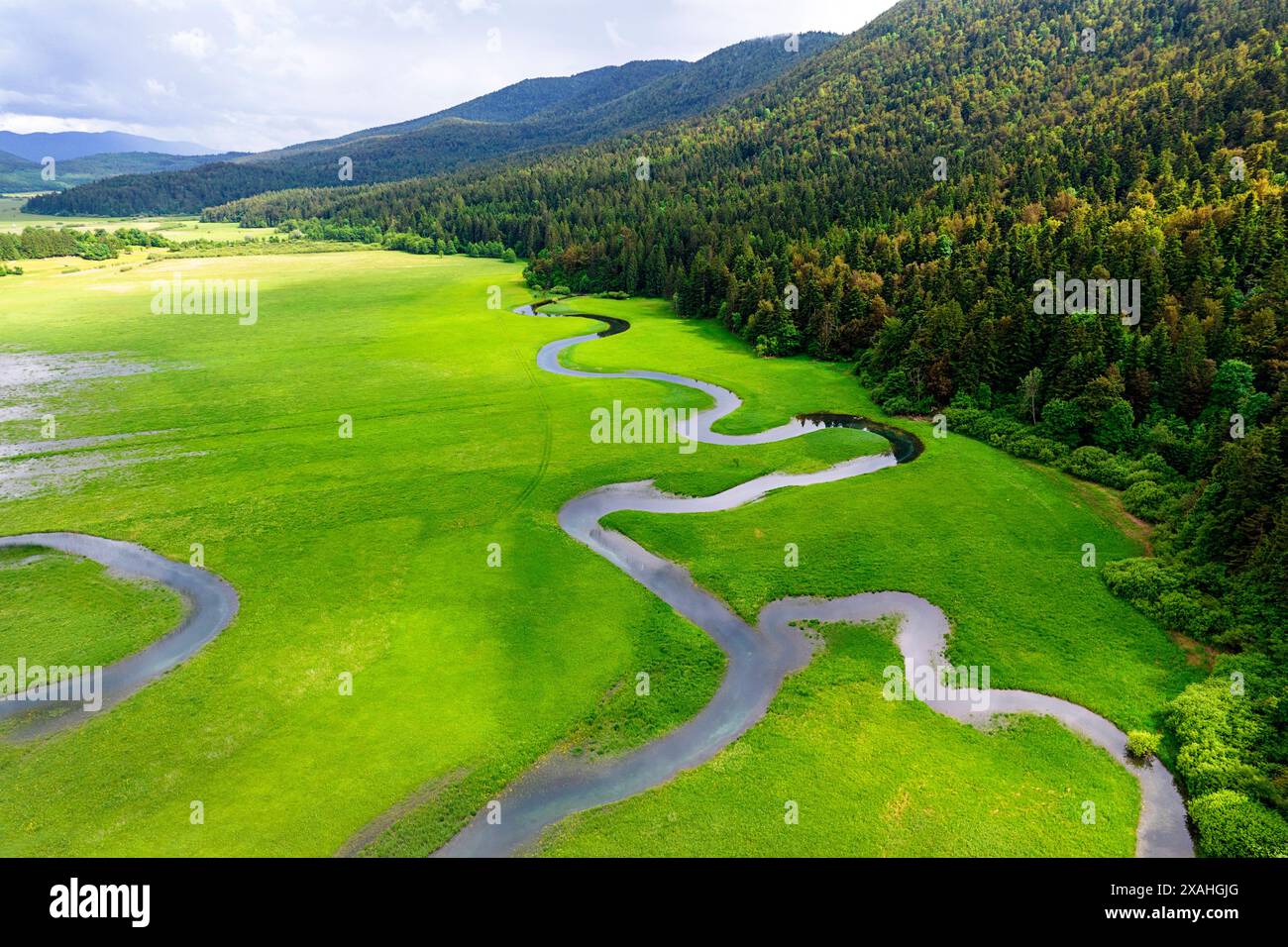 Kleiner Bach, Teil des Sees Cerknica, der größte intermittierende See in ganz Europa, umgeben von üppigen Wäldern und wunderschönen Bergen, Slowenien Stockfoto