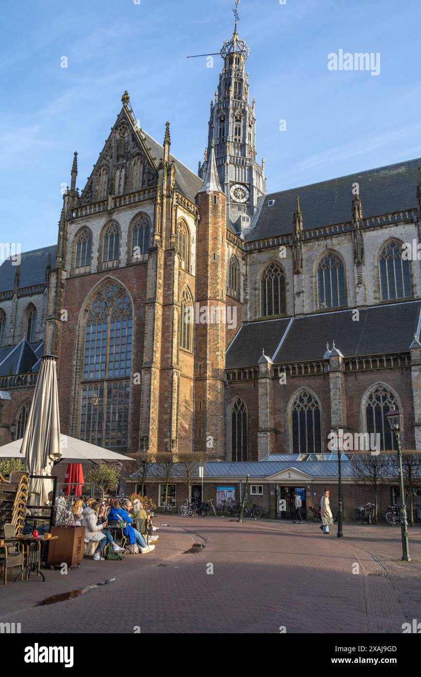 Kathedrale von St. Bavo, Haarlem, Niederlande mit einigen der berühmten Türme und umliegenden Cafés im Freien. Die Leute genießen die Sonne auf dem Platz. Stockfoto