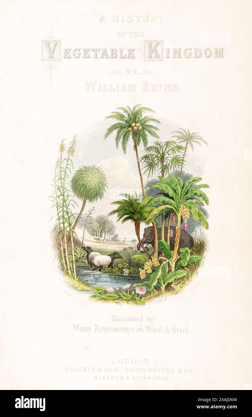 1872 farbige Titelseite / Frontplatte in William Rhind's Geschichte des Gemüsehandelreichs. Für viktorianische Botanische Wissenschaft und Druckverfahren. Stockfoto