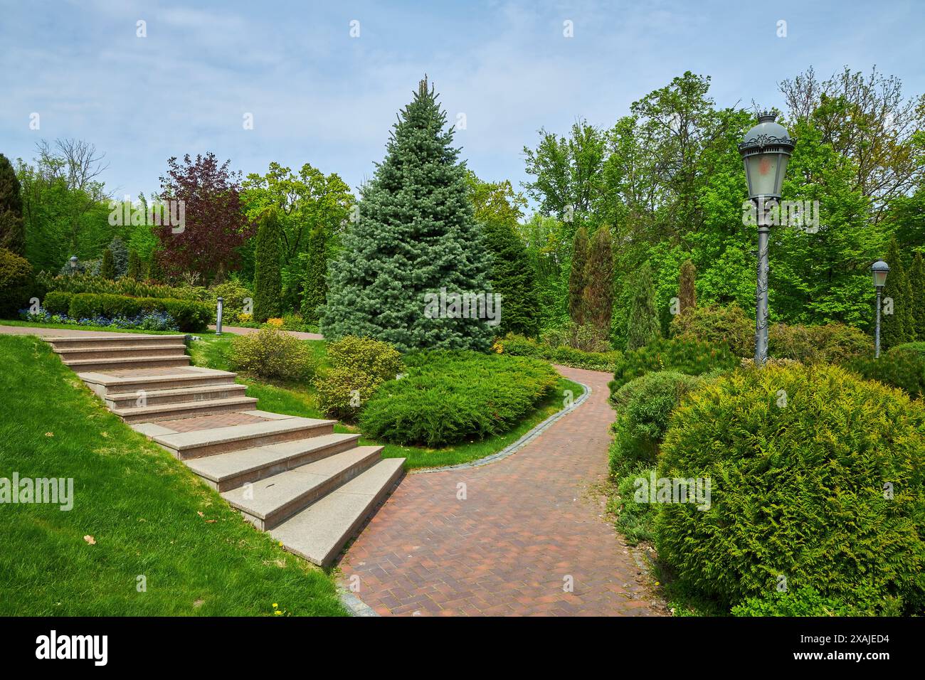 Der Hinterhof des Gebäudes mit Stufen und Eingang vor dem wächst Sträucher von immergrünen arborvitae mit einer quadratischen Form getrimmt, Fußgänger pa Stockfoto