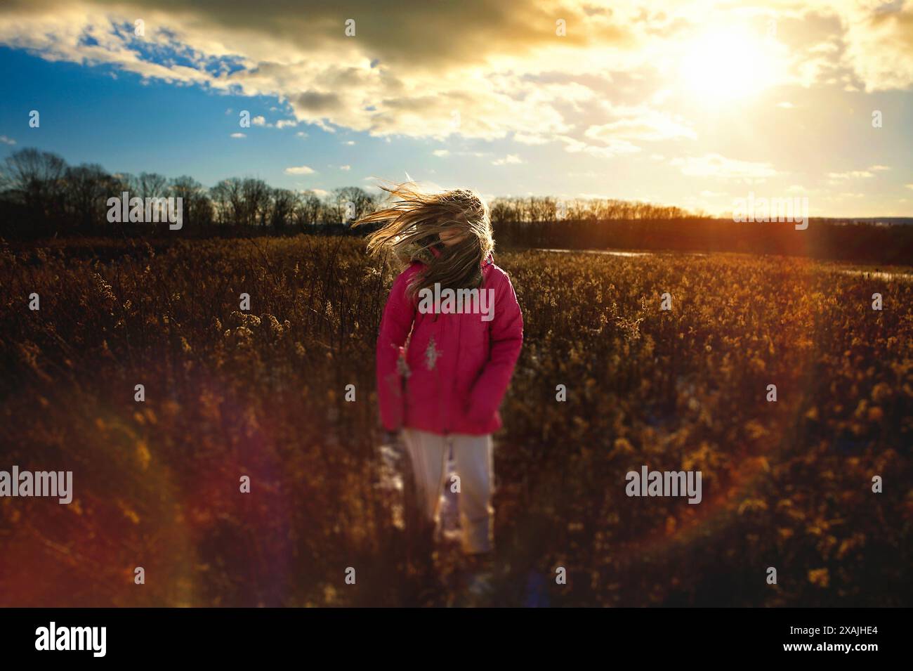 Ein junges Mädchen, das auf einem sonnigen Feld steht und Haare bläst Stockfoto