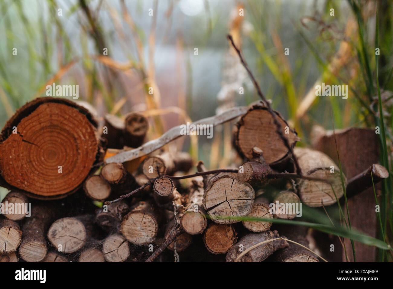 Baumstämme und Zweige mit Öko-Käfer-Habitat in einem Hüttengarten, England Stockfoto