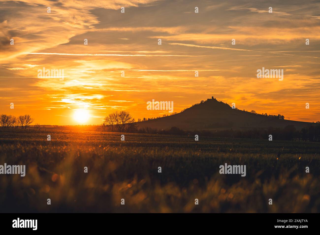 Burgruine Desenberg in der Warburger Börde in Nordrhein-Westfalen im Abendlicht, roter Himmel Stockfoto