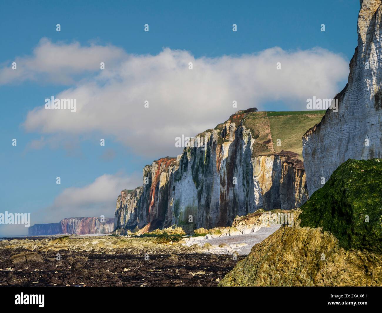 Auf den Klippen von Valleuse Senneville Sur Fecamp, Normandie, Frankreich Stockfoto
