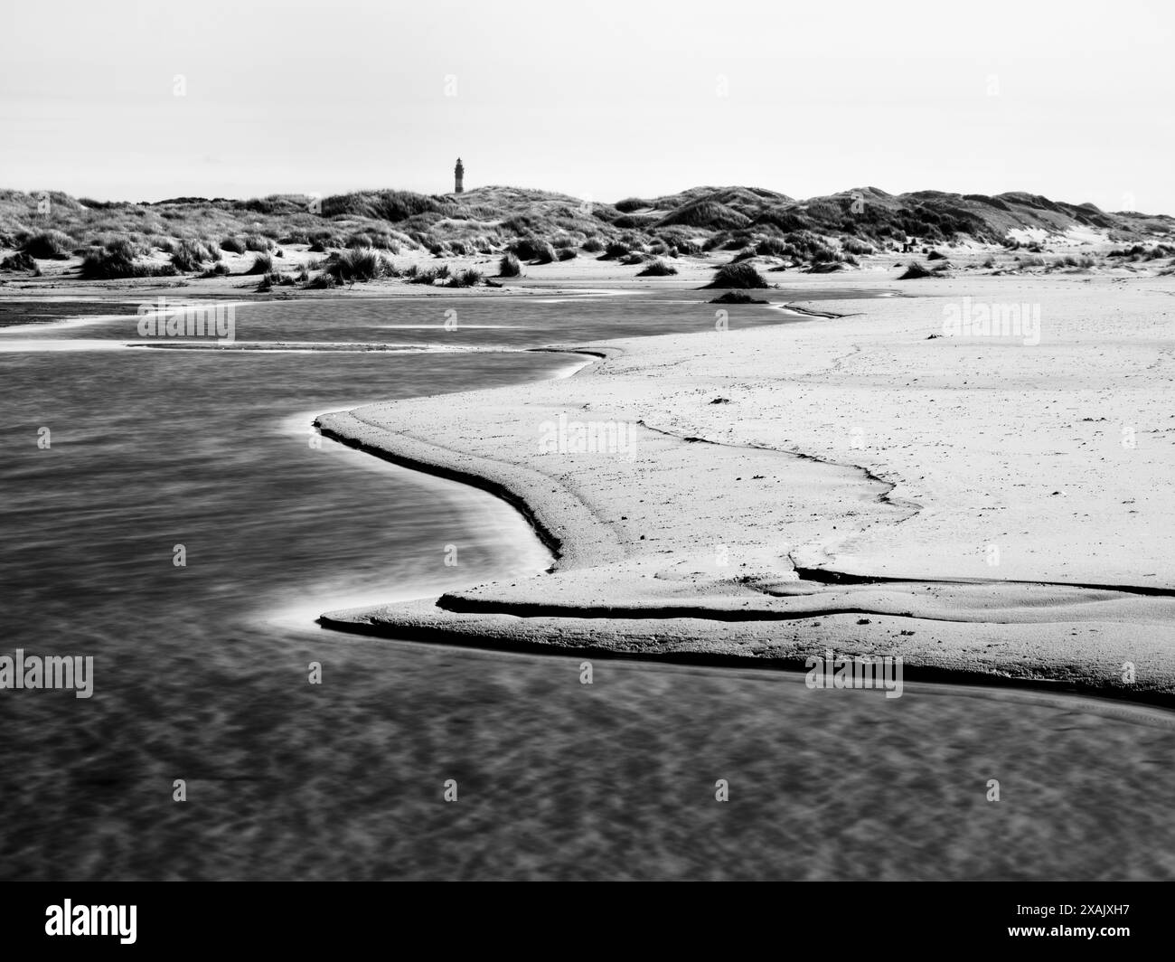 In den Amrum-Dünen zwischen Sturmwai und Quermarkenfeuer im Nationalpark Wattenmeer, Norddeutschland Stockfoto