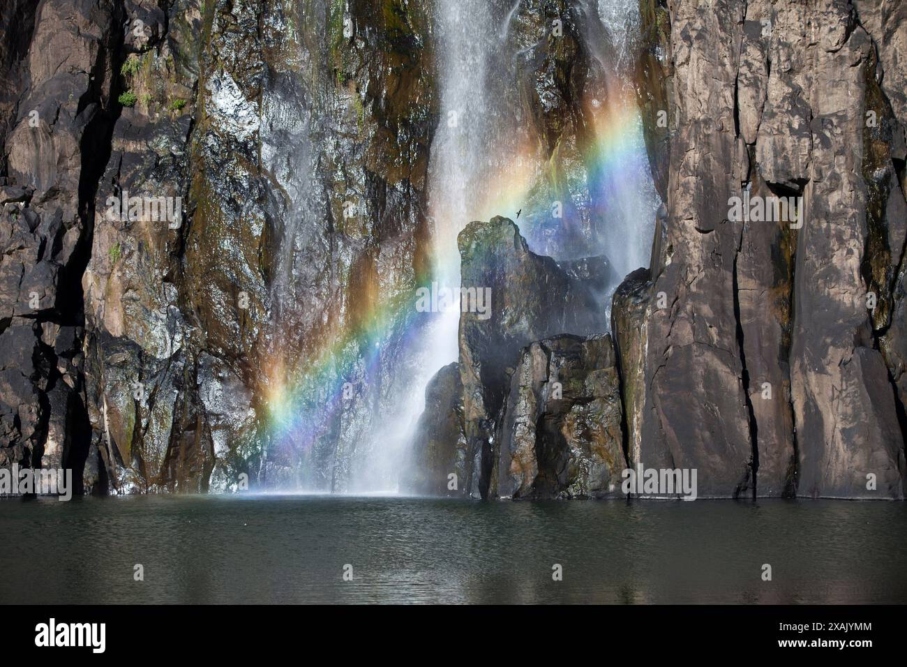 Regenbogen am Niagara-Wasserfall in Sainte-Suzanne (Insel Reunion), lokal bekannt als Kaskade Niagara. Stockfoto