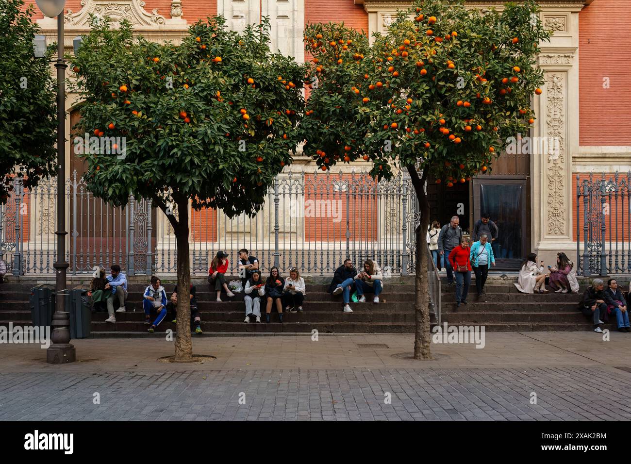 Sevilla, Spanien. 4. Februar 2024: Menschen sitzen auf den Stufen der Kirche des Göttlichen Erlösers auf der Plaza del Salvador, umgeben von Orangenbäumen Stockfoto