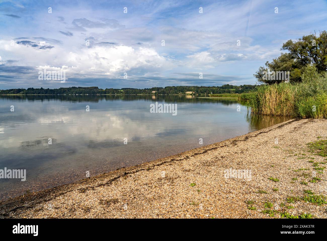 Strand am Simssee bei Bad Endorf, Bayern, Deutschland Stockfoto