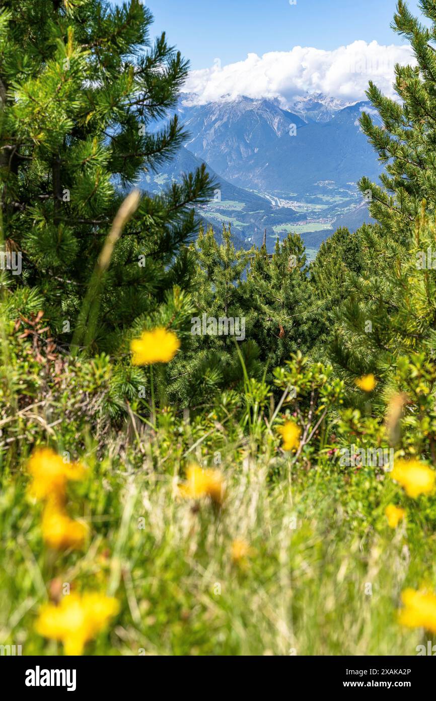 Europa, Österreich, Tirol, Ötztaler Alpen, Ötztal, Oetz, Blick über eine Bergwiese ins vordere Ötztal Stockfoto