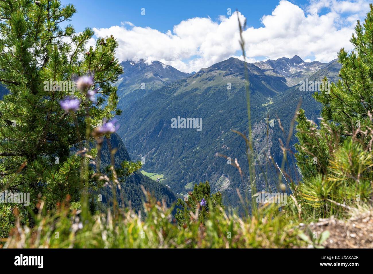 Europa, Österreich, Tirol, Ötztaler Alpen, Ötztal, Oetz, Bergpanorama von der Neuen Bielefelder Hütte Stockfoto