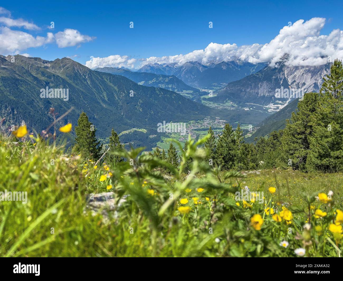 Europa, Österreich, Tirol, Ötztaler Alpen, Ötztal, Oetz, Blick über eine Bergwiese zum vorderen Ötztal Stockfoto