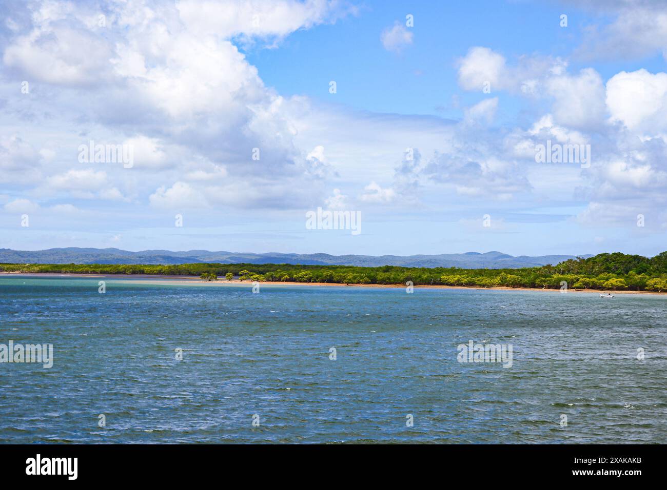 Küste der Hervey Bay an der Great Sandy Strait, zwischen Fraser Island und der kontinentalen Küste von Queensland in Australien - Mangroven und Regenwald Stockfoto