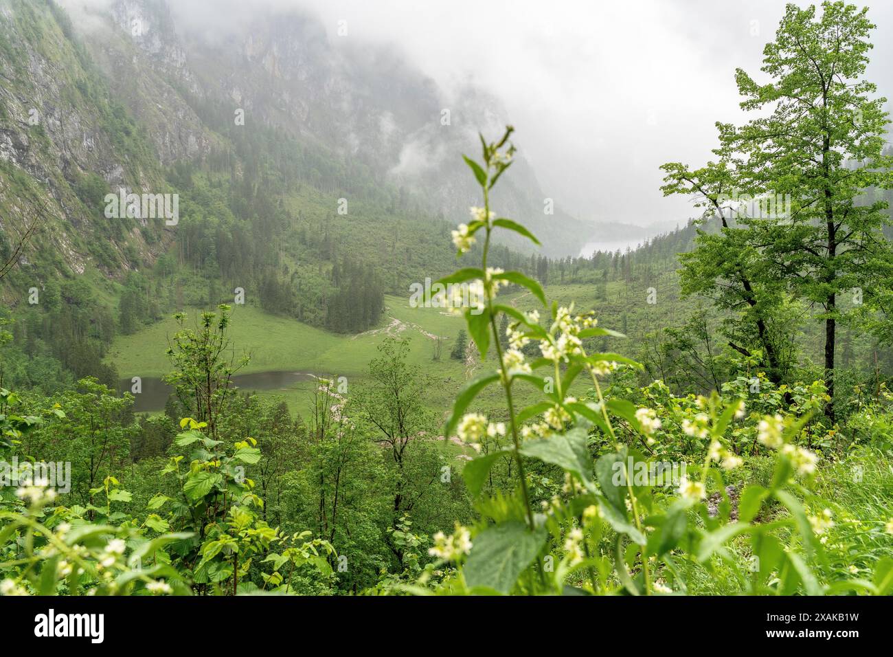 Europa, Deutschland, Bayern, Bayerische Alpen, Berchtesgaden, Blick vom Landtalsteig in Richtung Obersee Stockfoto