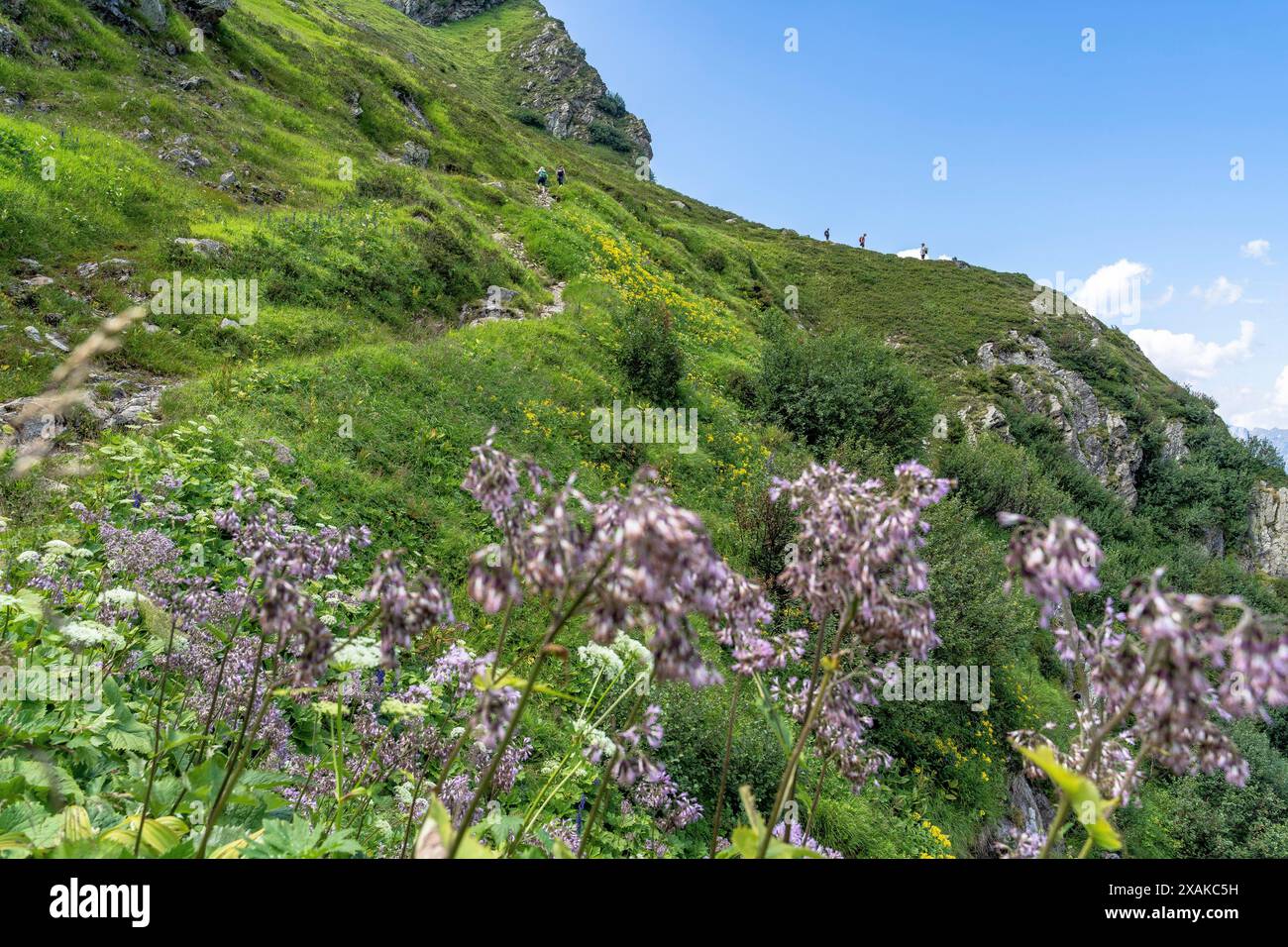 Europa, Österreich, Verwall, Vorarlberg, Montafon, Schruns, Wanderer auf einem Kamm Stockfoto