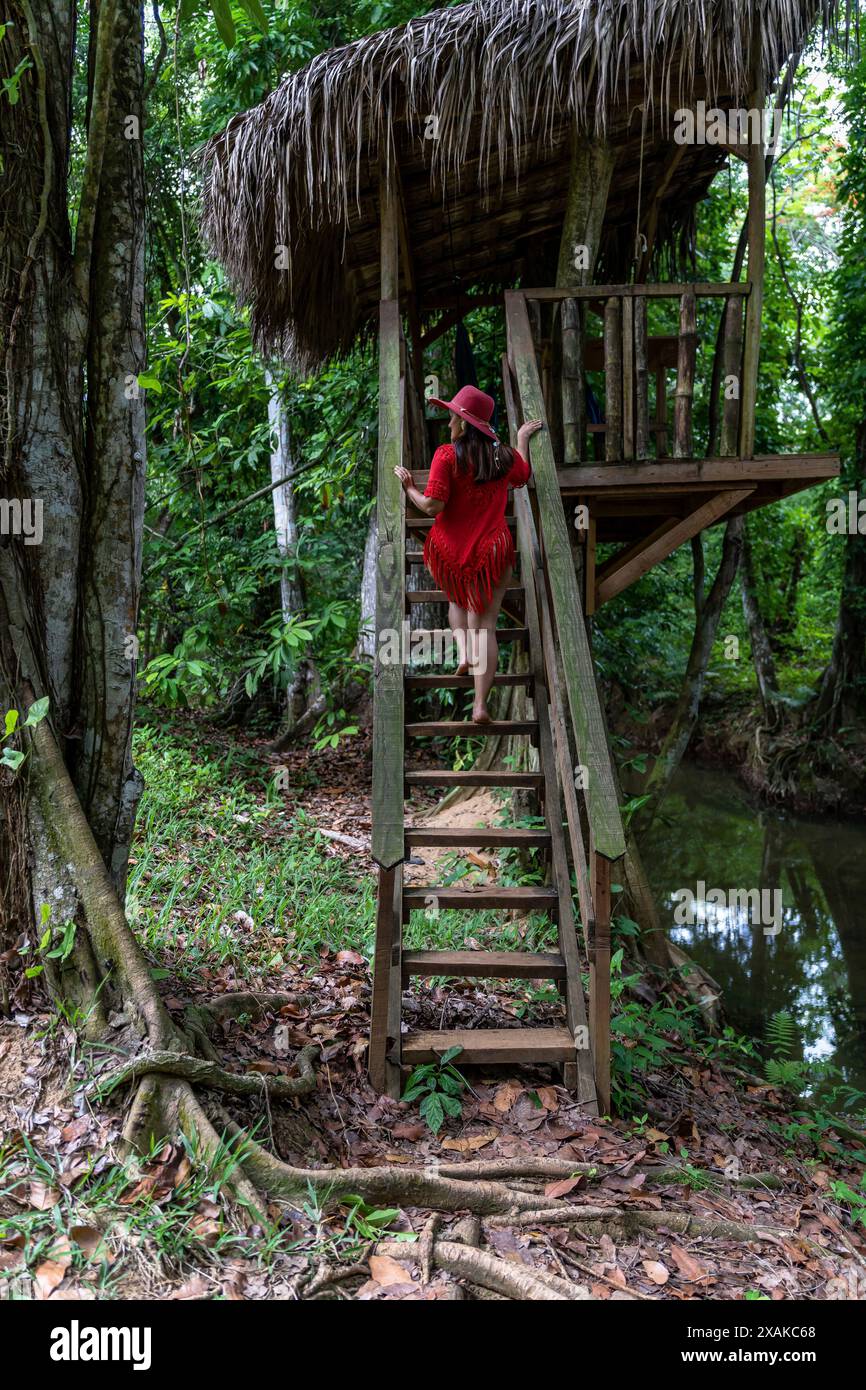 Nordamerika, Karibik, Hispaniola Island, Dominikanische Republik, Monte Plata, Bayaguana, Campo Aventura, hübsche Frau klettert hölzerne Treppen hinauf zur Aussichtsplattform Stockfoto
