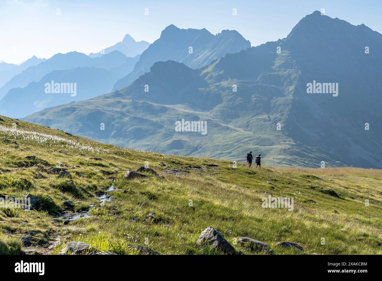 Europa, Österreich, Verwall, Vorarlberg, Schruns, Wormser Höhenweg, Bergsteiger zum Grasjoch Stockfoto