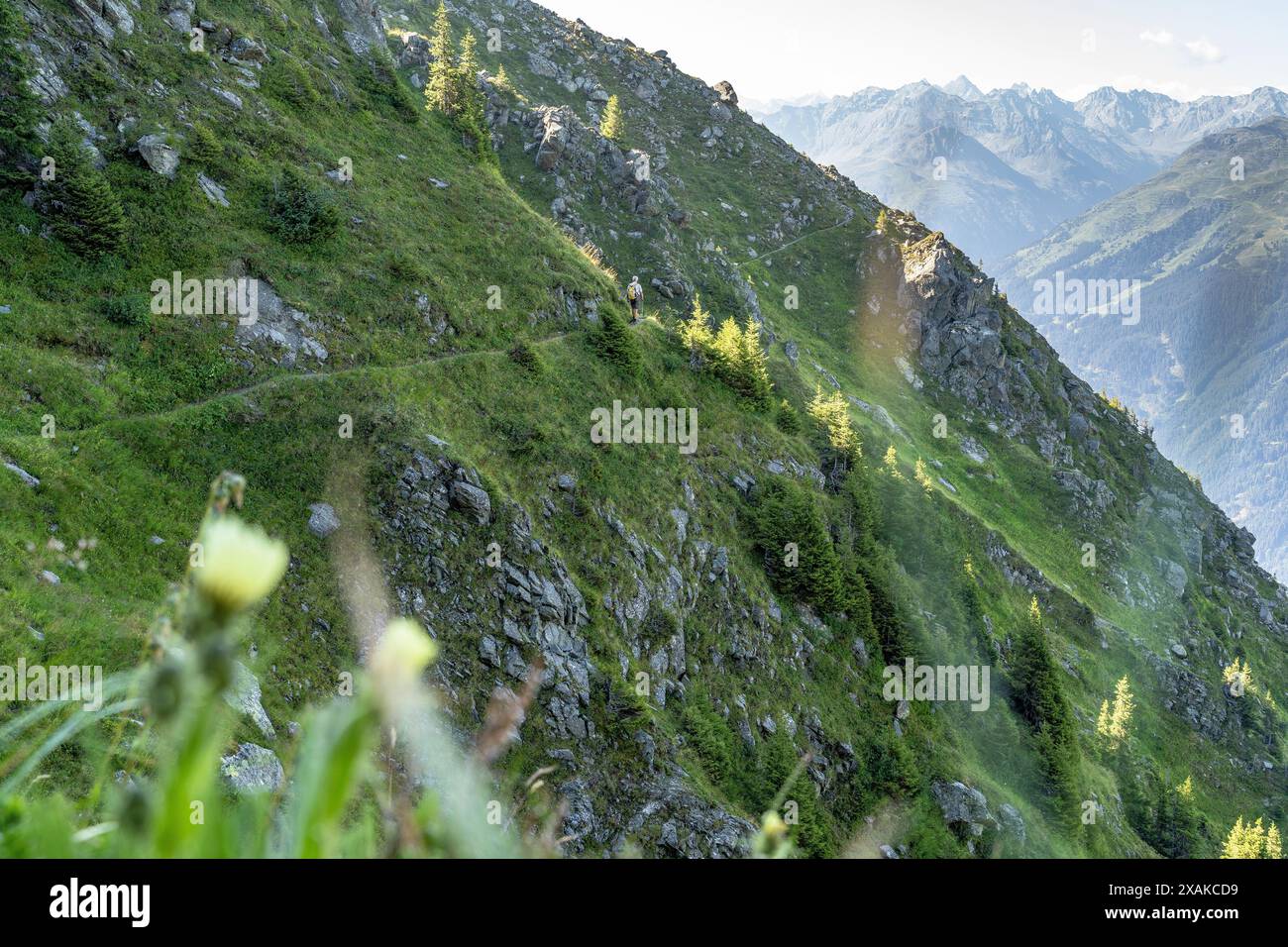 Europa, Österreich, Verwall, Vorarlberg, Schruns, Wormser Höhenweg, Bergwanderer auf hohem Weg an steilem Hang Stockfoto
