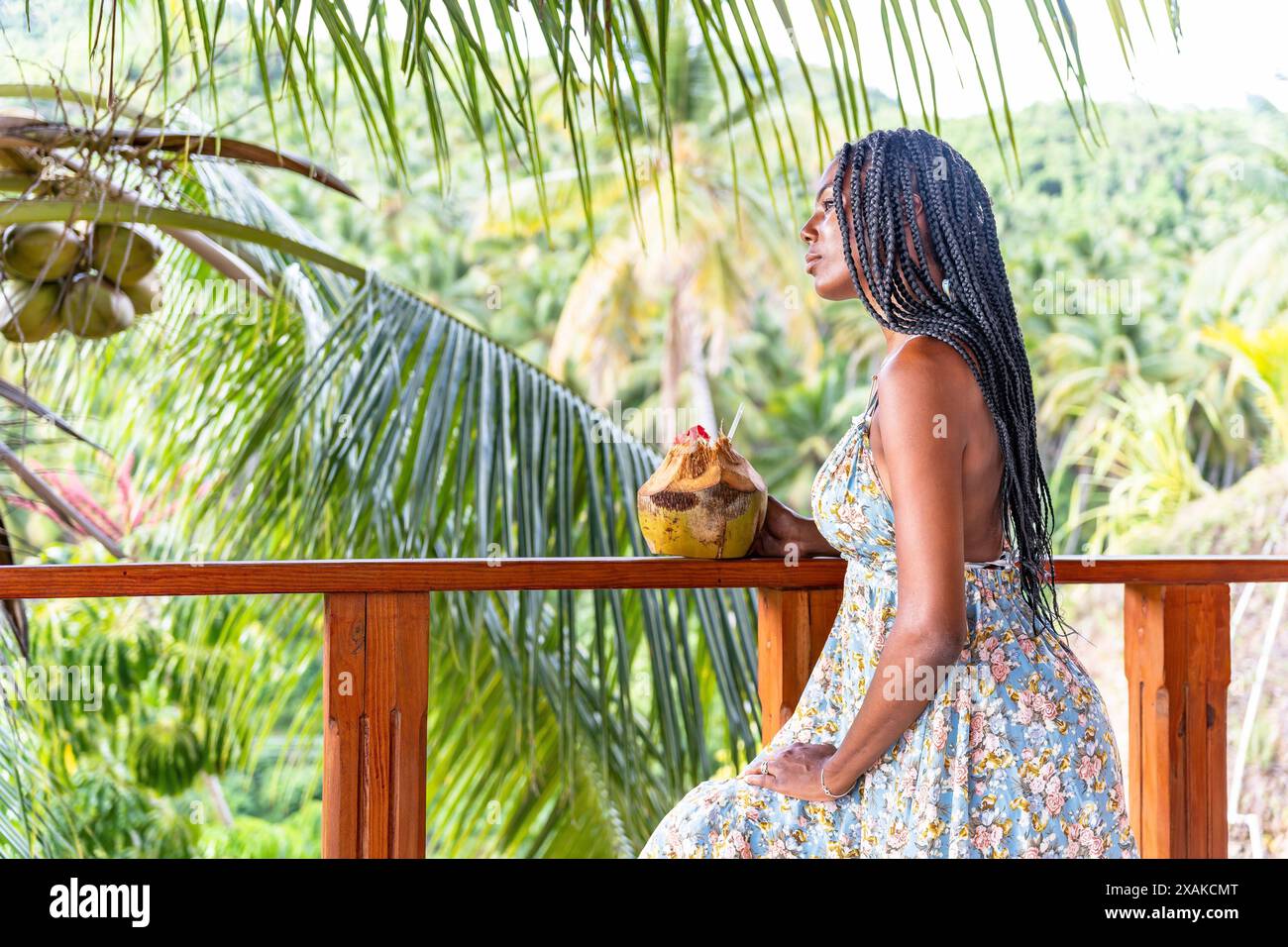 Nordamerika, Karibik, Hispaniola Island, Dominikanische Republik, Samana-Halbinsel, Sanchez, Jardines La Loma, ziemlich dunkelhäutige Latina steht an einem hölzernen Geländer und hält eine Kokosnuss Stockfoto