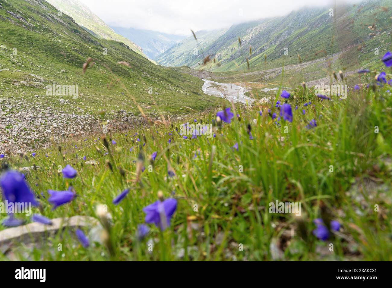 Europa, Österreich, Verwall, Tirol, St. Anton am Arlberg, Fasultal, Blick auf das idyllische Fasultal Stockfoto