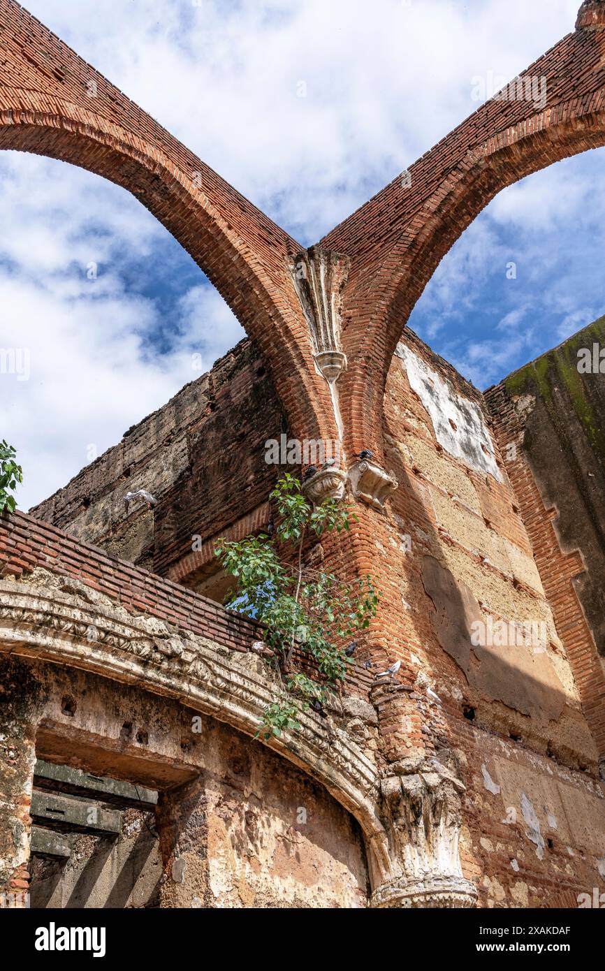 Nordamerika, Karibik, Großantillen, Hispaniola, Dominikanische Republik, Santo Domingo, Zona Colonial, Ruinen des Krankenhauses San Nicolas de Bari Stockfoto