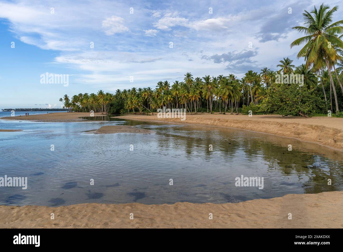 Nordamerika, Karibik, Großantillen, Hispaniola, Dominikanische Republik, Halbinsel Samana, Las Terrenas, Mündung am Playa Coson Beach Stockfoto