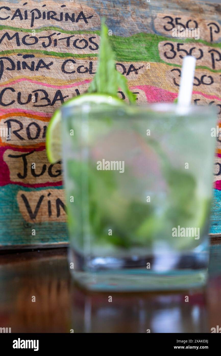 Nordamerika, Karibik, Großantillen, Hispaniola, Dominikanische Republik, Samana Peninsula, El Limon, Samana Eco Lodge, Mojito vor einer farbenfrohen Getränkekarte Stockfoto