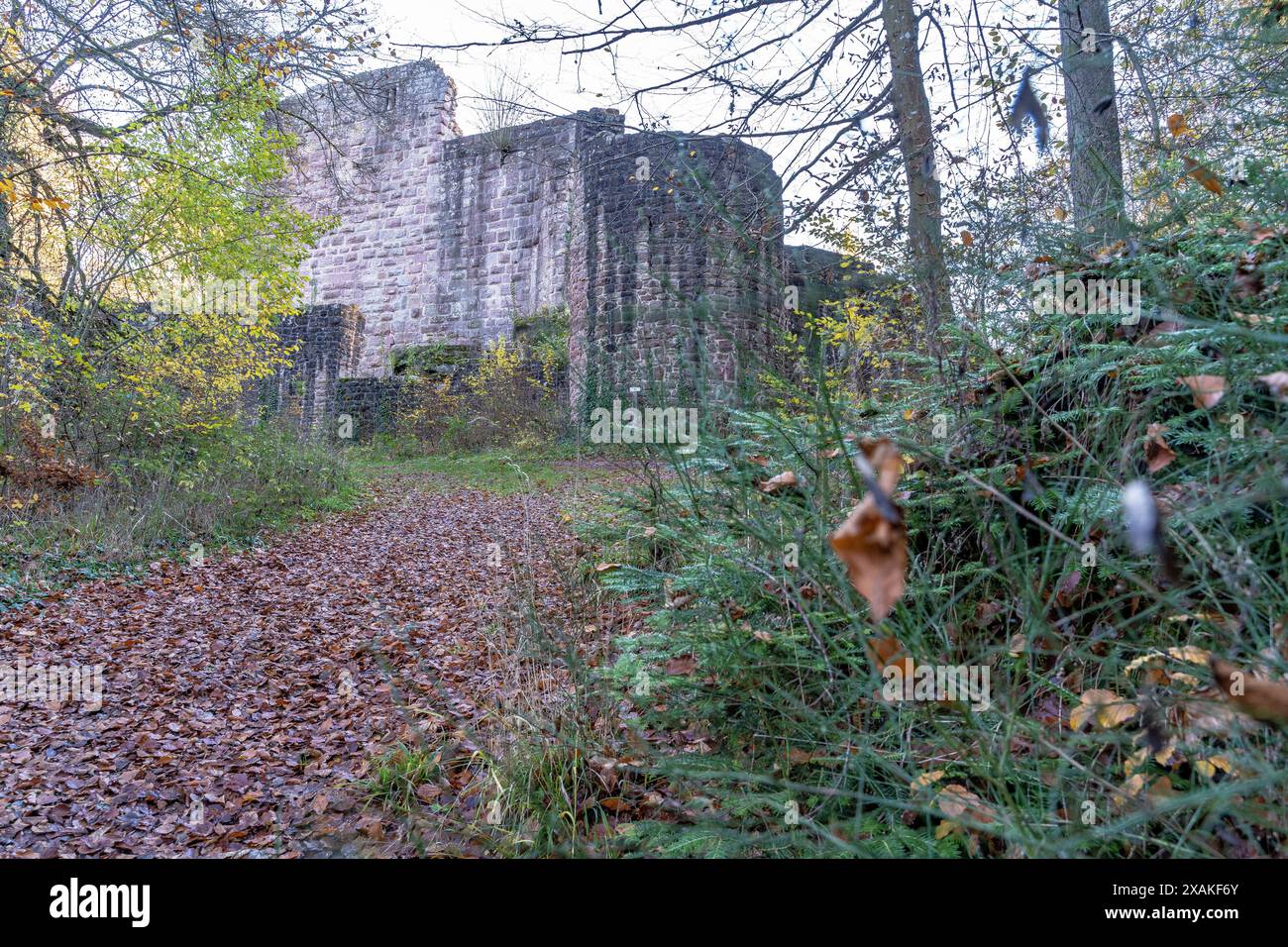 Europa, Deutschland, Baden-Württemberg, Schwarzwald, Nagoldtal, Calw, Holzbronn, Ruine der Burg Waldeck im Nagoldtal Stockfoto