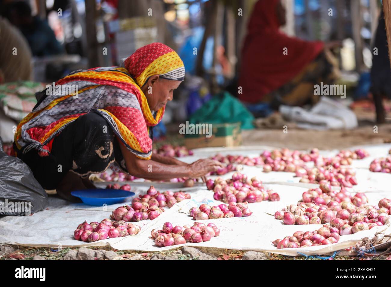 Addis Abeba. Mai 2024. Ein Händler sortiert Zwiebeln am 27. Mai 2024 auf einem Markt in Bati, Äthiopien. Quelle: Michael Tewelde/Xinhua/Alamy Live News Stockfoto