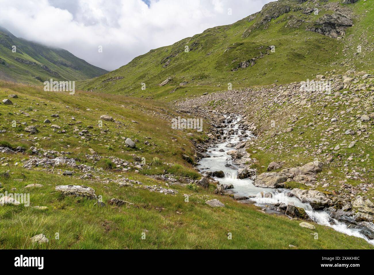 Europa, Österreich, Verwall, Tirol, St. Anton am Arlberg, Fasultal, Fasulbach im grünen Fasultal Stockfoto