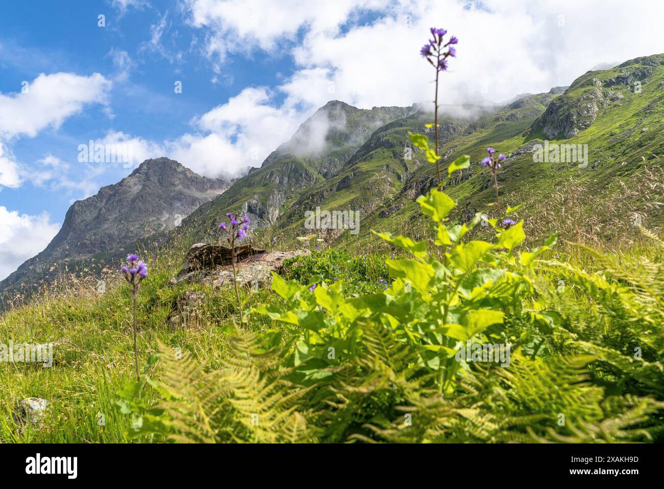 Europa, Österreich, Verwall, Tirol, St. Anton am Arlberg, Fasultal, malerische Berglandschaft im Fasultal Stockfoto