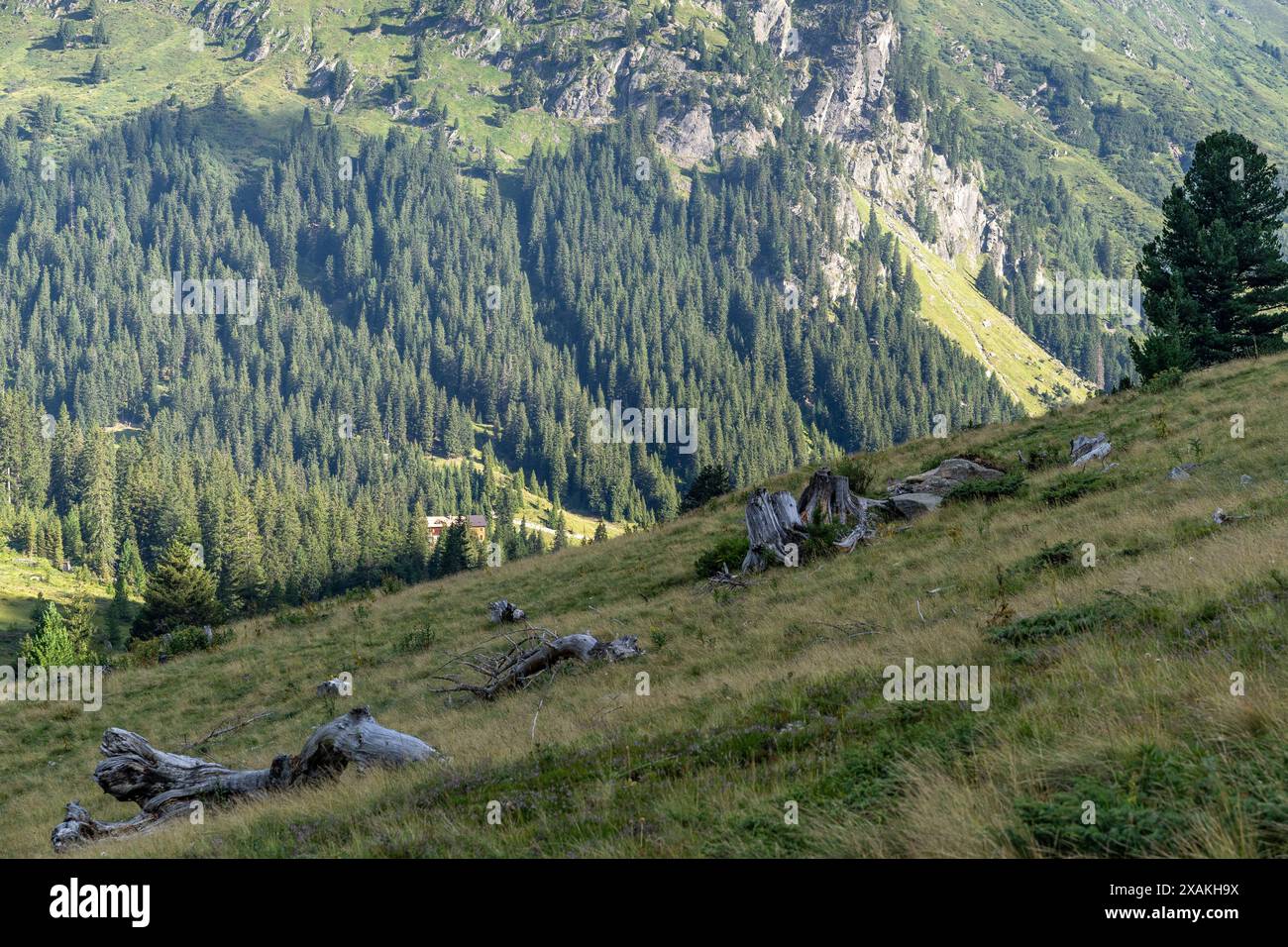 Europa, Österreich, Verwall, Tirol, St. Anton am Arlberg, Fasultal, Blick über einen grünen Berghang hinunter zur Konstanzer Hütte Stockfoto