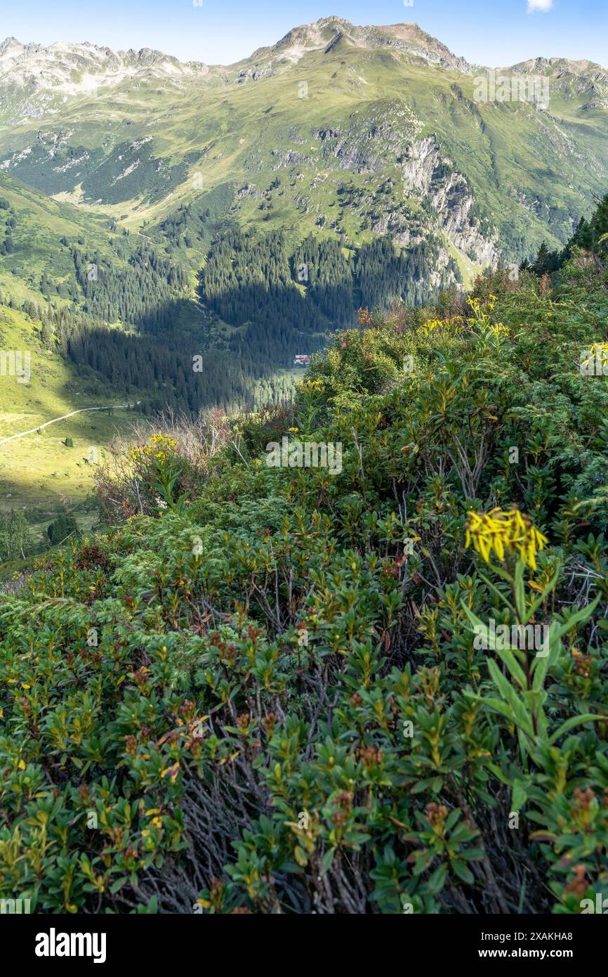 Europa, Österreich, Verwall, Tirol, St. Anton am Arlberg, Fasultal, Konstanzer Hütte Kopf des Fasultals Stockfoto
