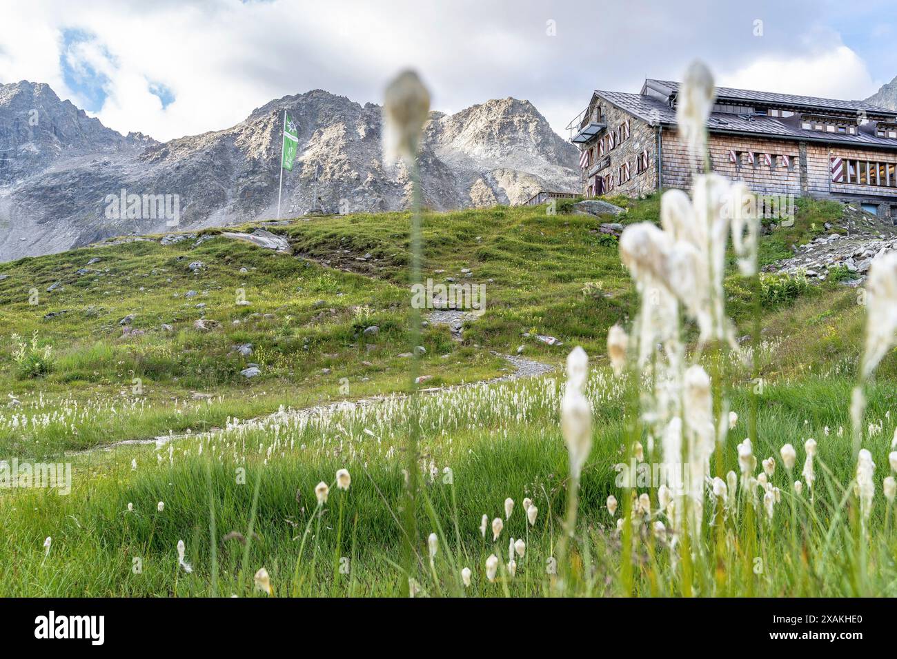 Europa, Österreich, Verwall, Tirol, St. Anton am Arlberg, Darmstädter Hütte mit Baumwoll-Gras im Vordergrund Stockfoto