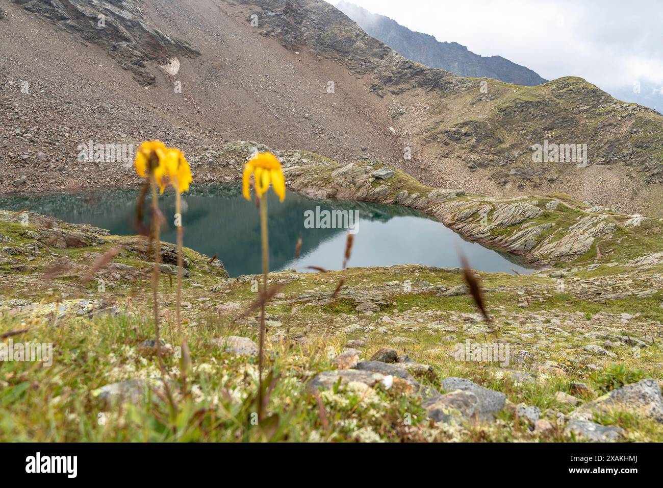 Europa, Österreich, Verwall, Tirol, Pettneu am Arlberg, Blick auf den Schmalzgrubensee Stockfoto