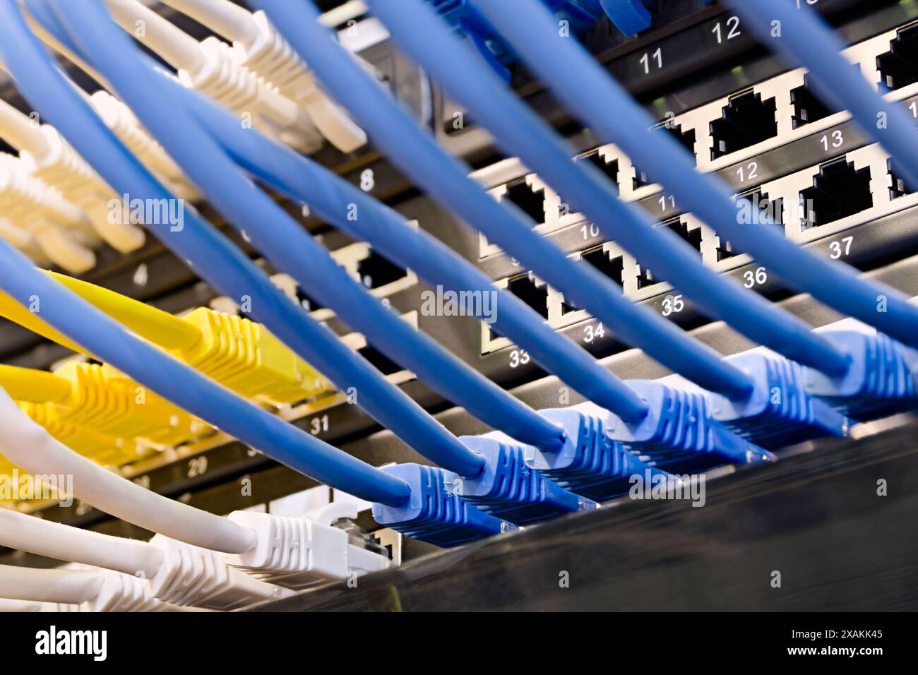 Rechenzentrum, Netzwerkpanel, Switch und angeschlossene Kabel. Nahaufnahme, selektiver Fokus, Hintergrund zu Netzwerktechnologien. Stockfoto