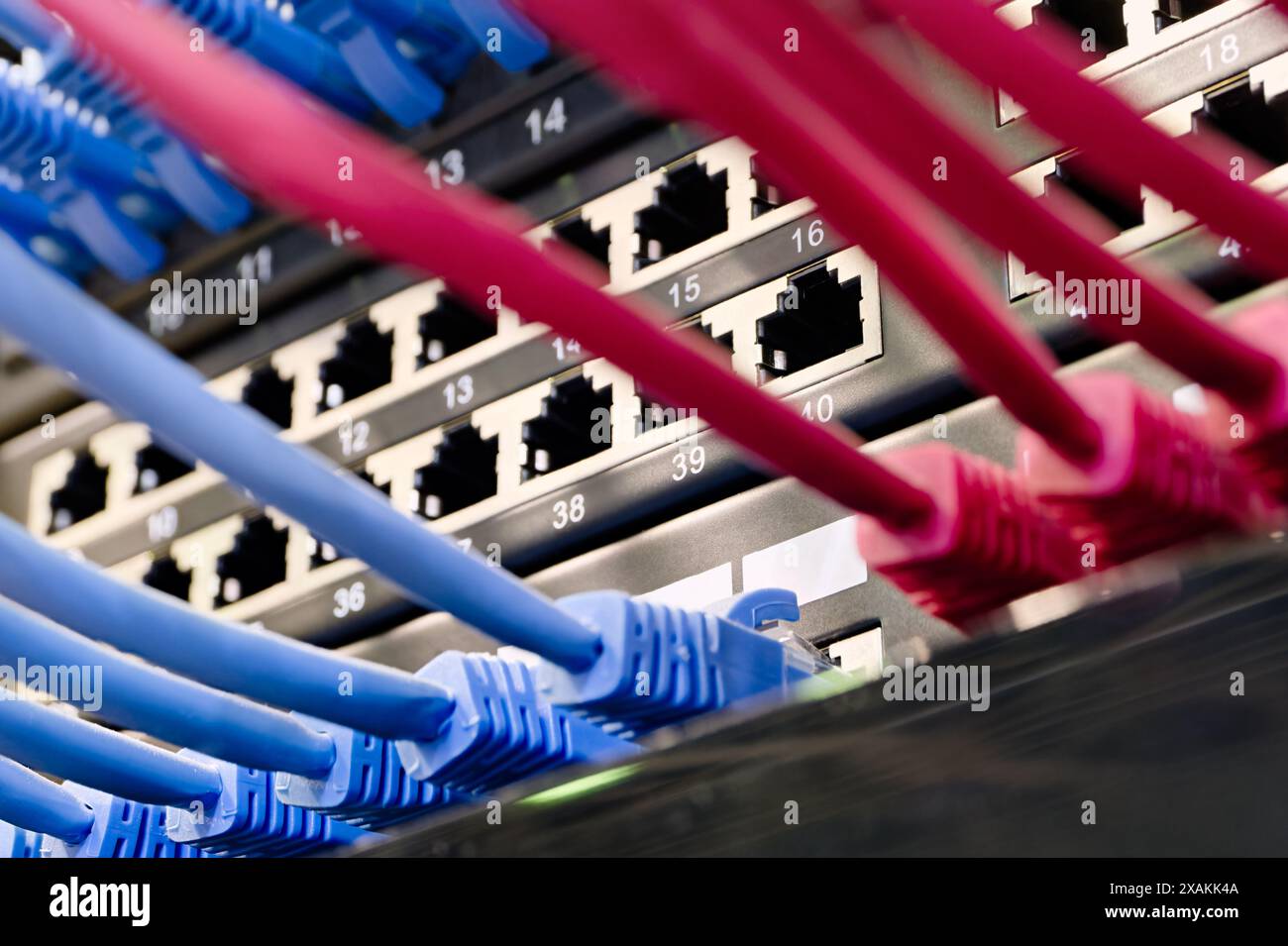 Rechenzentrum, Netzwerkpanel, Switch und angeschlossene Kabel. Nahaufnahme, selektiver Fokus, Hintergrund zu Netzwerktechnologien. Stockfoto