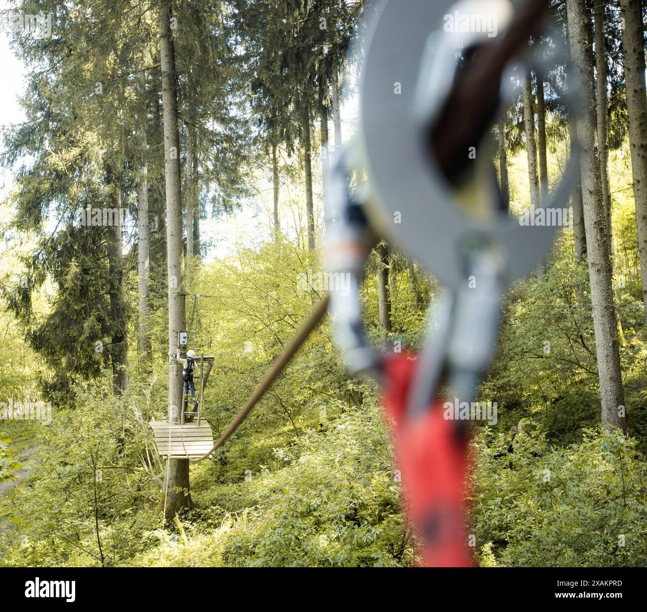 Junge im Klettergarten Stockfoto