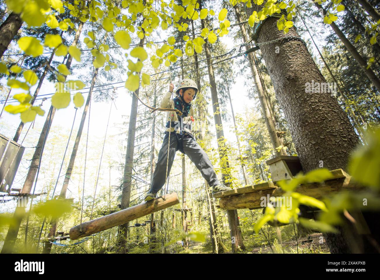 Junge im Klettergarten Stockfoto