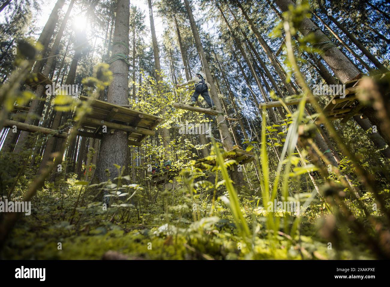 Junge im Klettergarten Stockfoto