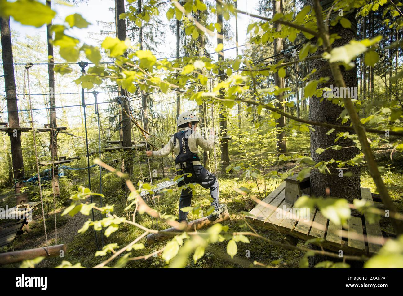 Junge im Klettergarten Stockfoto