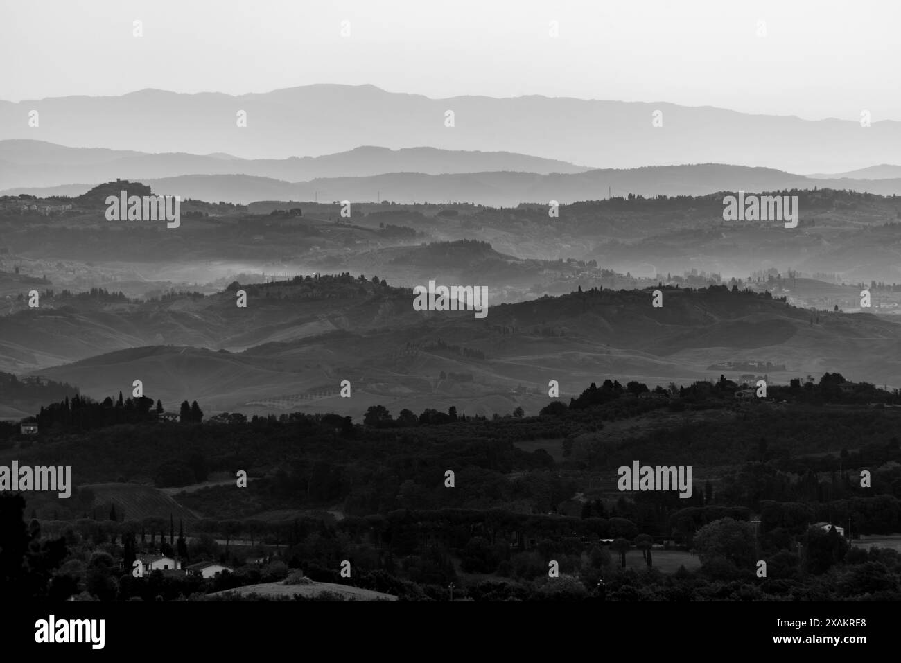 Typisch toskanische Landschaft mit Hügeln und Zypressen am frühen Morgen in der Nähe von Montaione, Italien Stockfoto