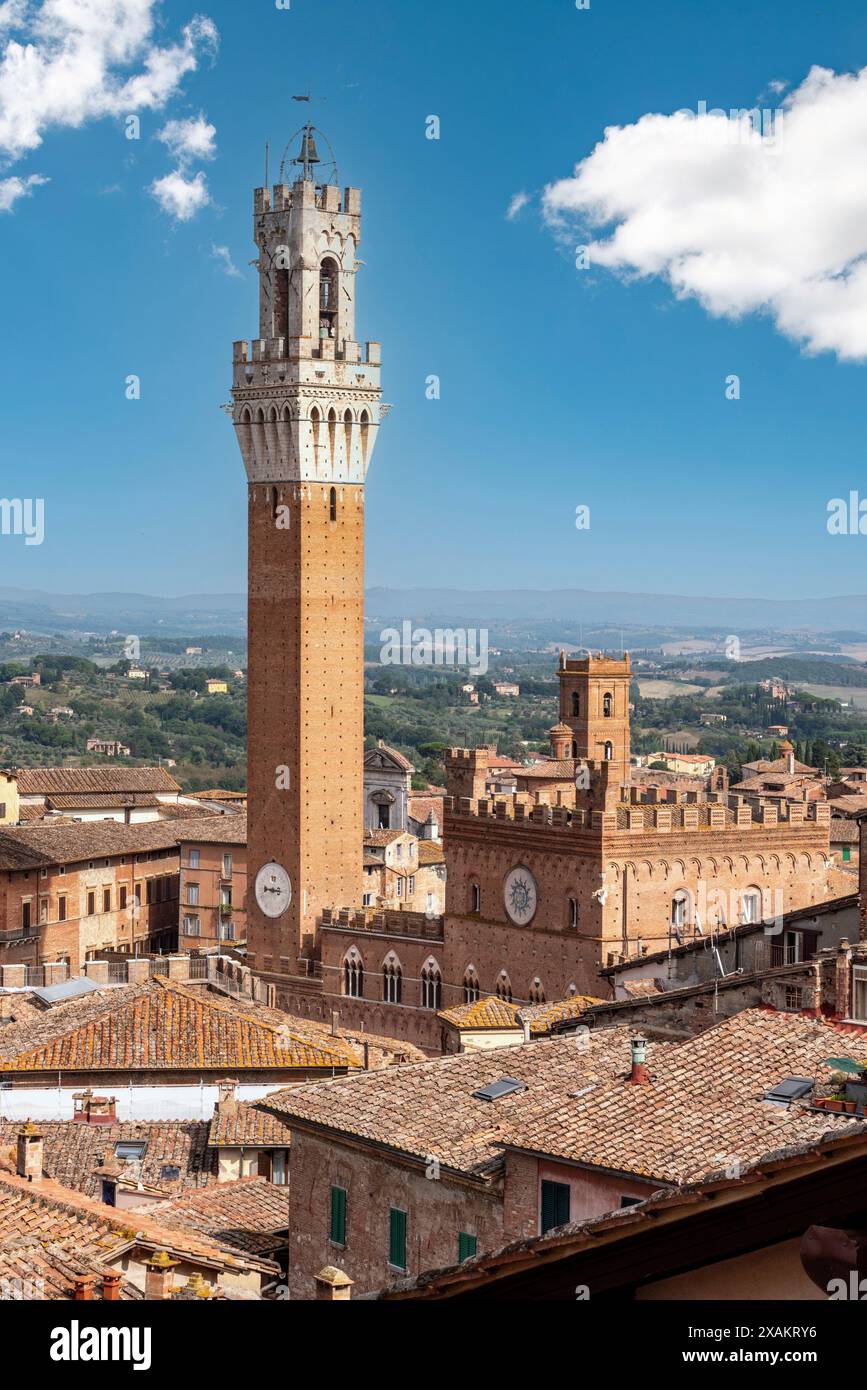 Blick über die Dächer von Siena in Richtung Torre Magna, vom Dach der Kathedrale von Siena, Italien Stockfoto