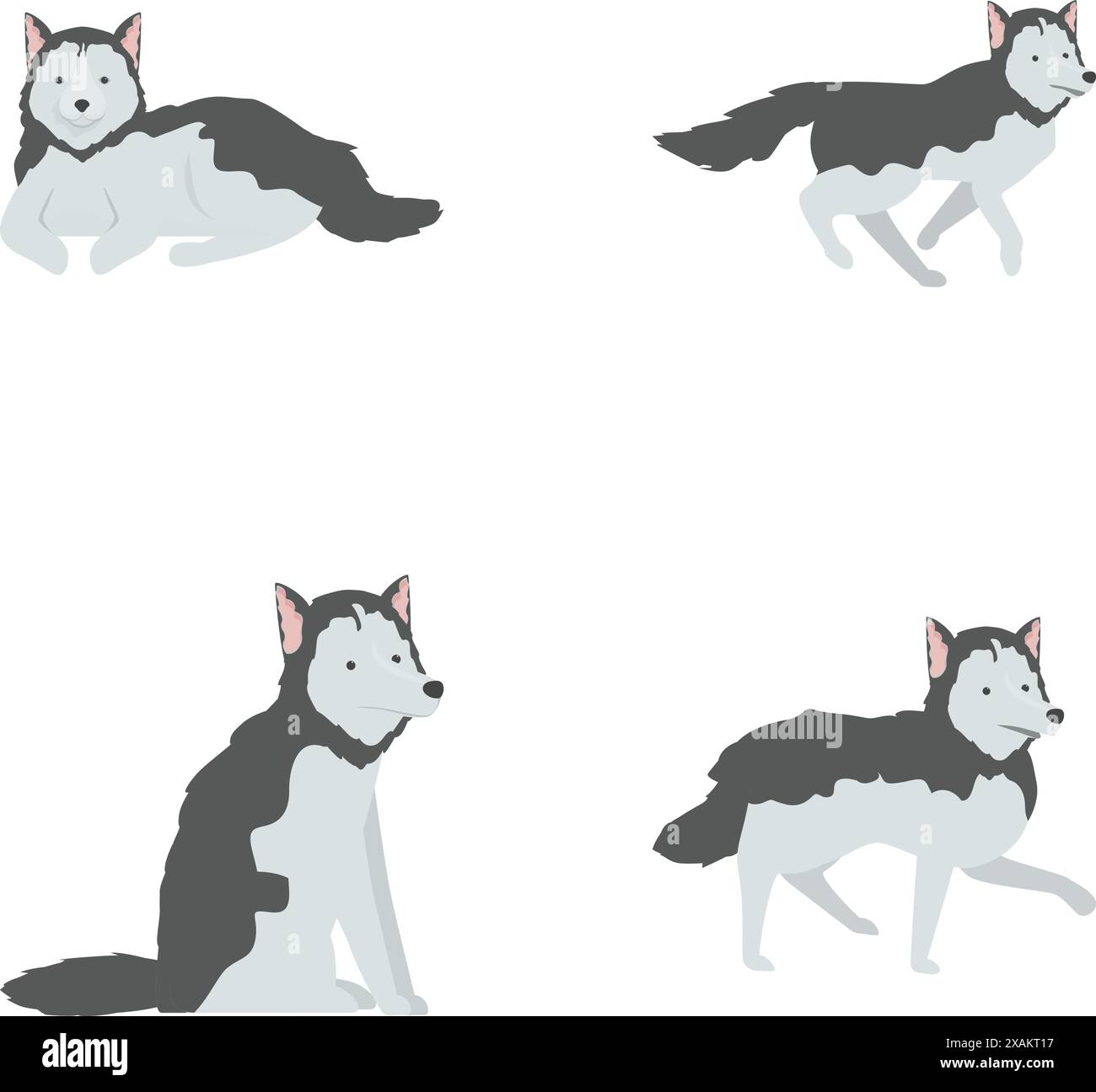 Illustrationskollektion mit einem niedlichen Cartoon Husky in vier verschiedenen Posen, isoliert auf weiß Stock Vektor